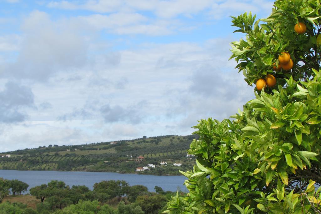 Monte Da Tojeirinha Guest House Montargil Exterior photo