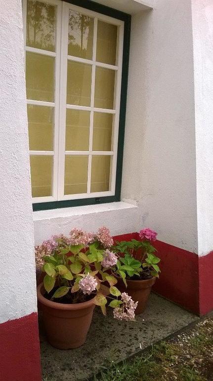 Monte Da Tojeirinha Guest House Montargil Exterior photo